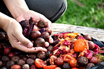 Fruits and vegetables are preparing to make compost fertilizer