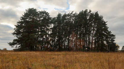 Beautiful autumn landscape in the suburbs. Russia. 4