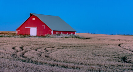 Magical wheat farm fields in palouse washington