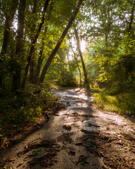 Obraz premium Sunset at Daniels Area in Patapsco Valley State Park in Maryland