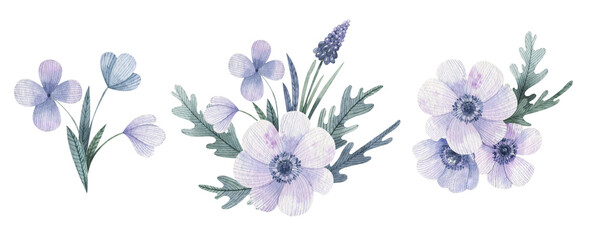 Flowers and leaves painted by watercolor. Floral watercolor compositions. Anemones, muscari, bindweed, wildflowers.
