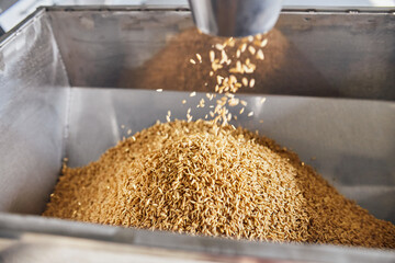 Machine filling container with grains