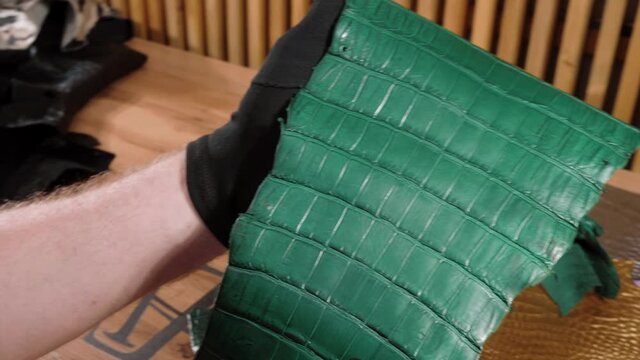 Exotic Leather. Animal Texture. Natural pattern. Fashion and clothing industry, shoes, bags, belts. Upholstery Furniture. Crocodile skin.