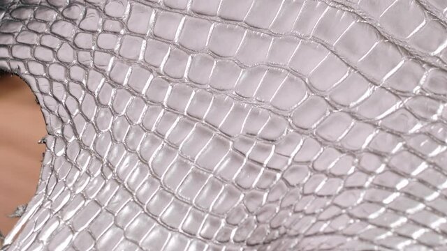 Exotic Leather. Fashion and clothing industry. Upholstery Furniture. Crocodile skin. Animal Texture. Natural pattern.