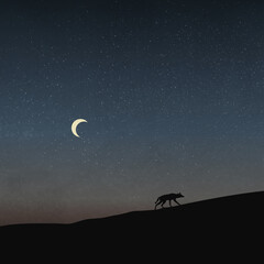 A Wolf Walking In The Field