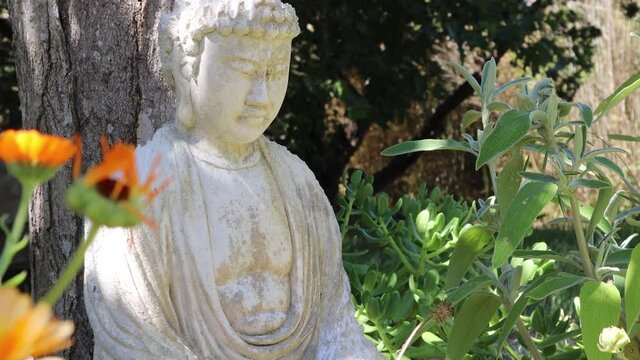 Buddha statue in a garden