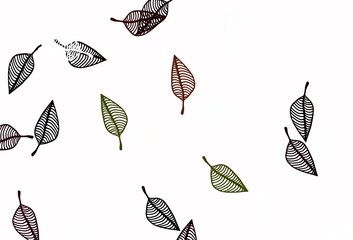 Light Multicolor, Rainbow vector doodle pattern.