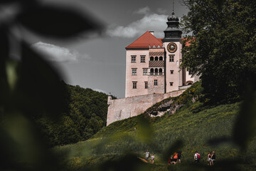 Zamek Pieskowa Skała - obrazy, fototapety, plakaty