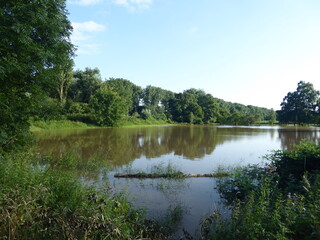 Hochwasser am Rhein Juni 2021