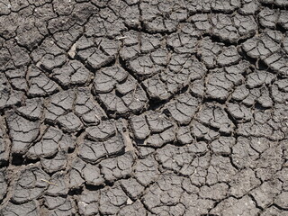 close-up of dry dracked soil ground texture grayscale