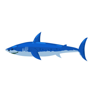 Hammerhead fish Shark underwater predator animal character, scary jaws fish aquatic creature. Vector illustration cartoon