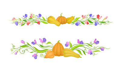 Obraz na płótnie Canvas Floral Border Composition of Pumpkin and Purple Flower with Stem and Tendril Vector Set