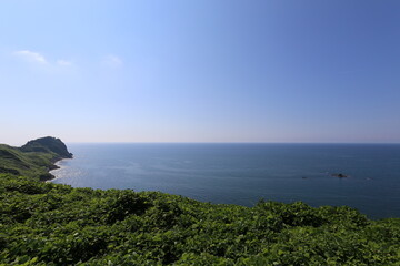 cape kasiwa in summer