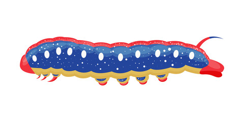 The bright caterpillar is blue, yellow and red. The insect is an agricultural pest. Vector illustration isolated on a white background