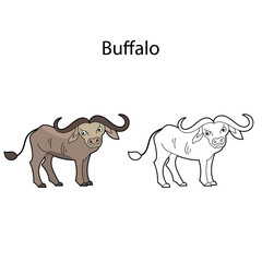 Funny cute animal buffalo isolated on white background. Linear, contour, black and white and colored version. Illustration can be used for coloring book and pictures for children