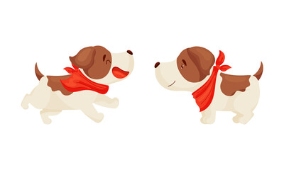 Fototapeta premium Jack Russell Terrier Standing and Running Vector Set
