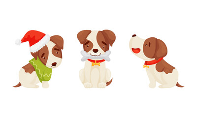 Jack Russell Terrier with Collar Sitting in Santa Hat and Holding Bone Vector Set