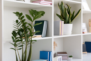 Shelf unit with books and houseplants, closeup