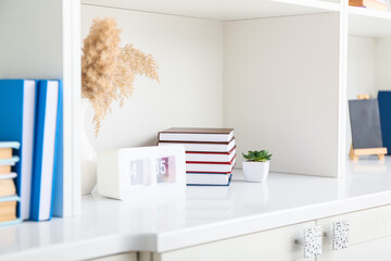 Shelf unit with books, clock and houseplant, closeup