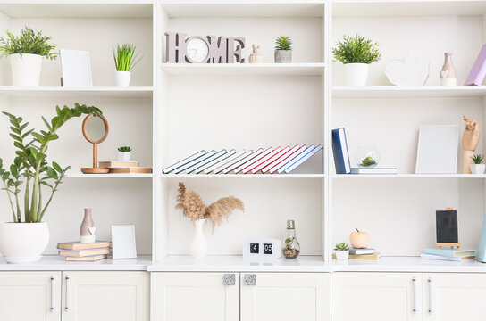 Shelf unit with books, houseplants and decor, closeup