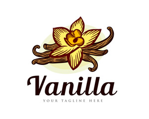 vanilla art drawn vintage logo template illustration inspiration