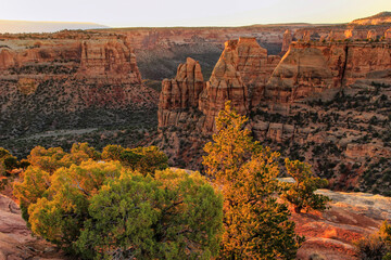 Colorado National Monument, Grand Junction, USA