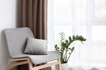 Comfortable armchair and houseplant near light curtains