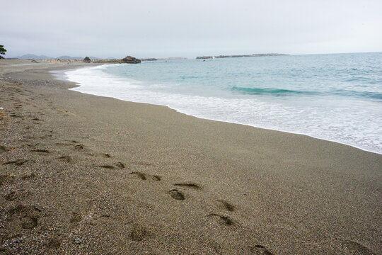 Foot Path on Katsurahama Beach Kochi , Japan - 日本 高知県 桂浜の海 足跡