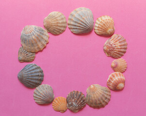 Many different sea shells on pink background. Empty place to display product packaging. Showcase mockup.