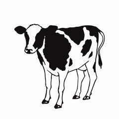 牛のシンプルな手描きのイラスト