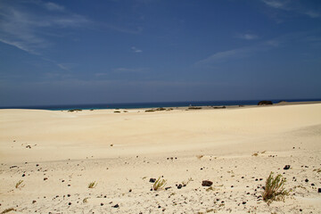 Różnorodny  krajobraz  wyspy Fuerteventura - obrazy, fototapety, plakaty