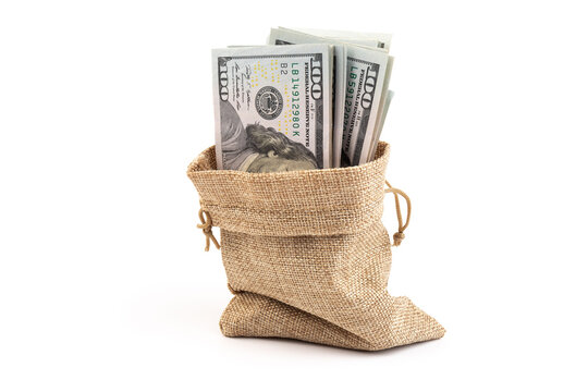 Money in the bag isolated on a white background