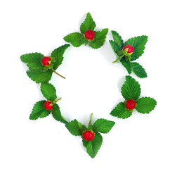 Round garland  from  leaves and berries, isolated on white background, flat lay, top view. The concept of summer, spring, Mother's Day.