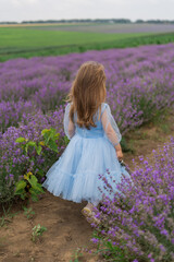 Fototapeta na wymiar girl in a lavender field