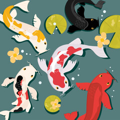 koi carps in water