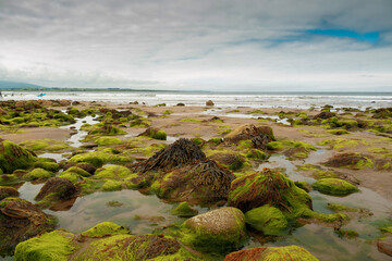Rocks on the beach in focus, Surfer in the ocean out of focus.
