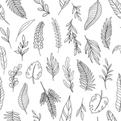 Modern line art tropical leaves seamless pattern. Background with drawn outline forest palm monstera fern hawaiian leaves. Hand drawn tropical elements vector illustration. © setory