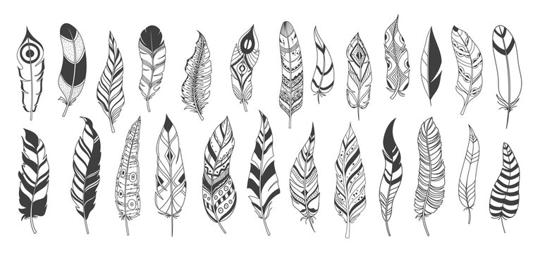 Rustic Ethnic decorative feathers, drawn ink boho vintage vector tribal feathers.