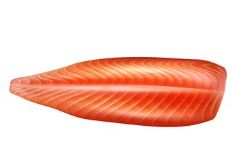 Raw salmon fish peeled fillet 3d vector realistic isolated illustration. Seafood fillet, trout fresh steak or red fish.
