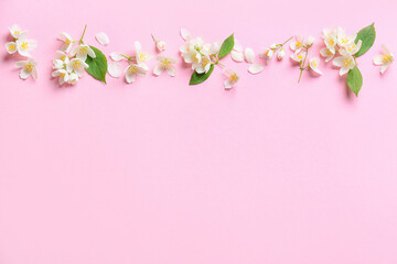 Naklejka premium Beautiful jasmine flowers on color background