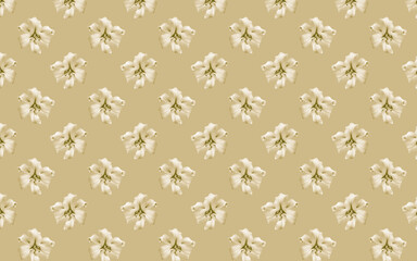 Beautiful flowers lilies. Seamless pattern of Lily flower bloom. Floral natural background.