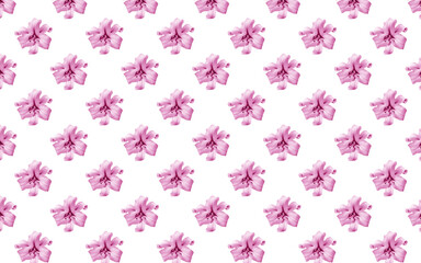 Beautiful flowers lilies. Seamless pattern of Lily flower bloom. Floral natural background.