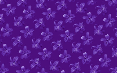 Beautiful flowers violet lilies. Lily flower bloom. Floral natural background.