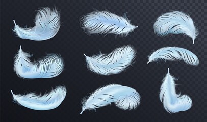 Falling blue fluffy twirled feather set, isolated Goose feathers realistic style, vector 3d illustration. © setory