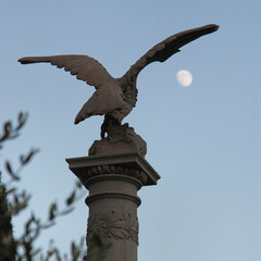 eagle statue in the city
