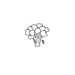 Broccoli rendered in a vector