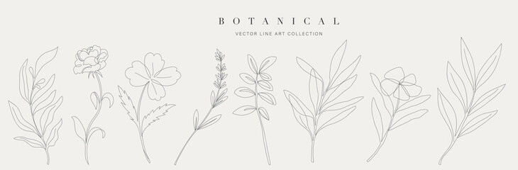 Fototapeta Botanical arts. Hand drawn continuous line drawing of abstract flower, floral, ginkgo, rose, tulip, bouquet of olives. Vector illustration. obraz