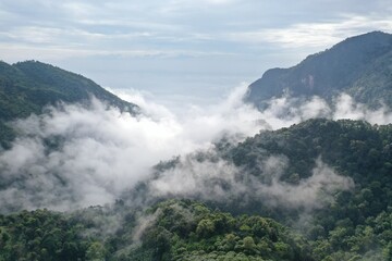 Drone photo, high angle, fog on the top of Ban Pha Hee Mountain, Mae Sai District Chiang Rai Province, Thailand, Asia