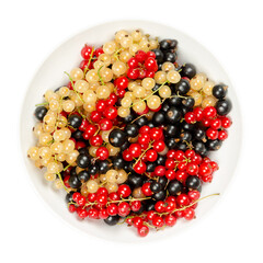 Currant berries, in a white bowl. Fresh and ripe white currant, redcurrant and blackcurrant berries, spherical fruits of Ribes cultivars. Sweet fruits with intense colors. Close-up, from above. Photo.