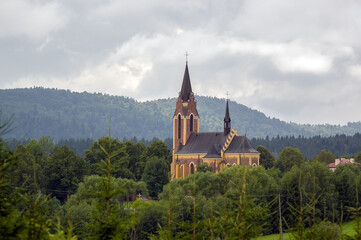 Fototapeta premium Zabytkowa katedra wśród drzew panorama z oddali 